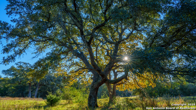 Image 6 of 12 For 000 Hagan Mott Rd