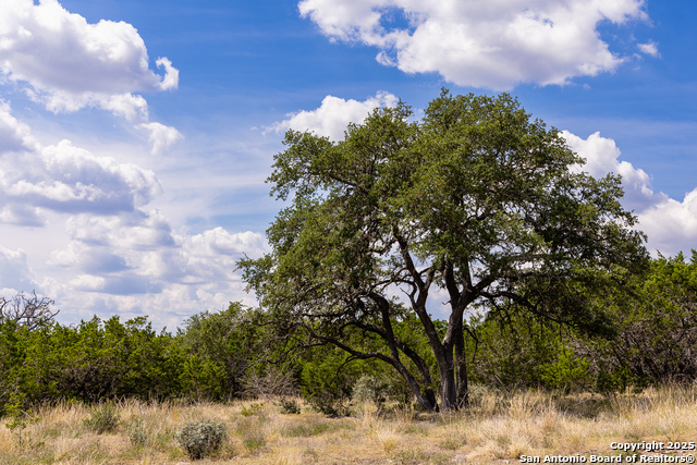 Image 18 of 37 For 284 Dark Sky Path