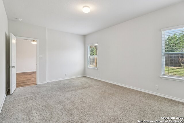 Image 19 of 49 For 22018 Backspin