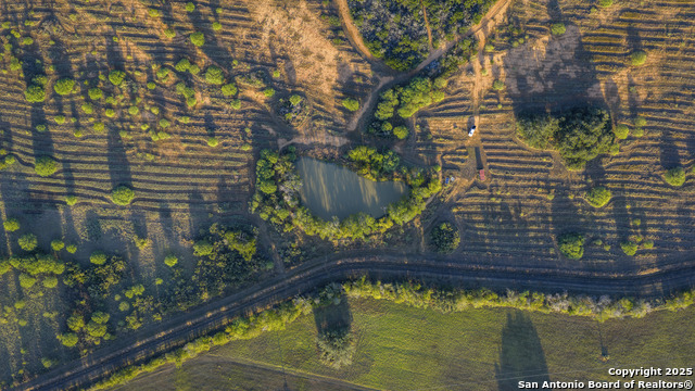 Listing photo id 16 for 514 County Road 669