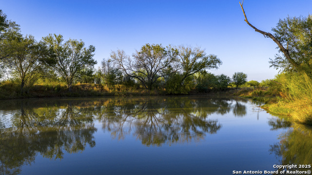 Listing photo id 18 for 514 County Road 669