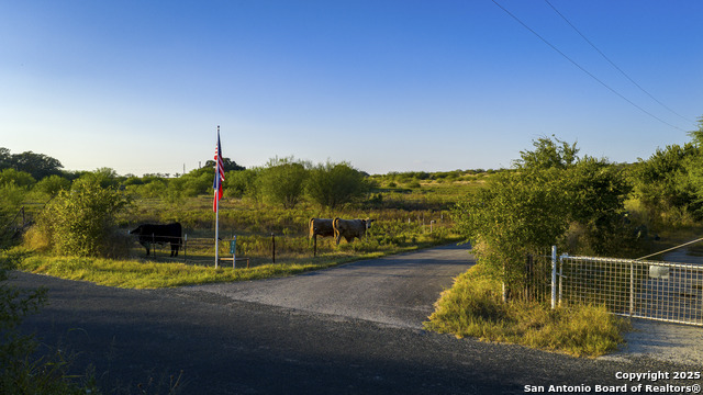 Listing photo id 19 for 514 County Road 669