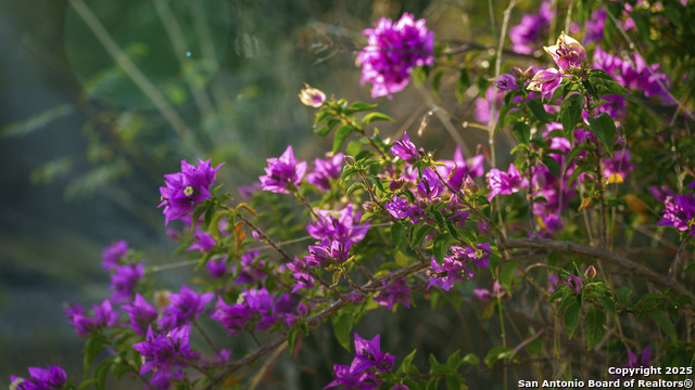 Listing photo id 27 for 514 County Road 669