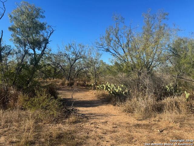 Details for Lots 2456-2458 Ave. J, Christine, TX 78012