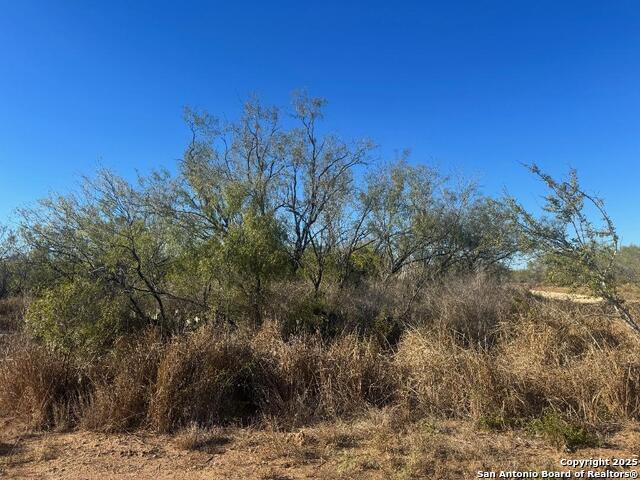 Image 2 of 4 For Lots 2456-2458 Ave. J