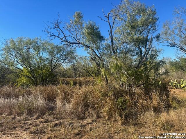 Image 3 of 4 For Lots 2456-2458 Ave. J