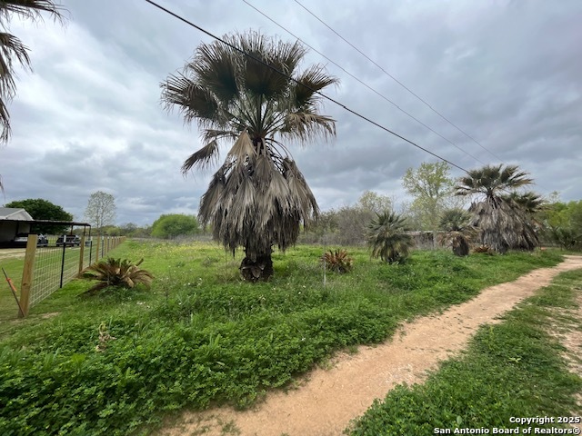 Image 3 of 5 For Tbd Pr 6736