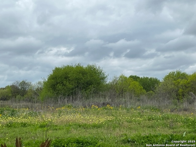 Image 4 of 5 For Tbd Pr 6736