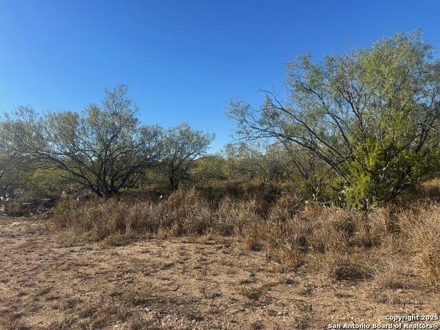 Details for Lots 2453-2455 Ave. J, Christine, TX 78012