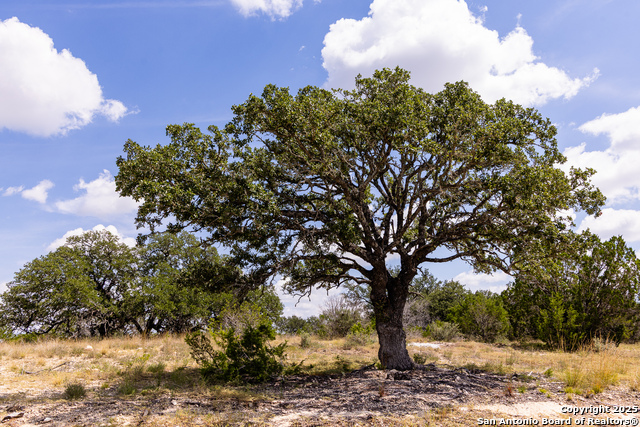 Image 9 of 37 For 496 Dark Sky Path