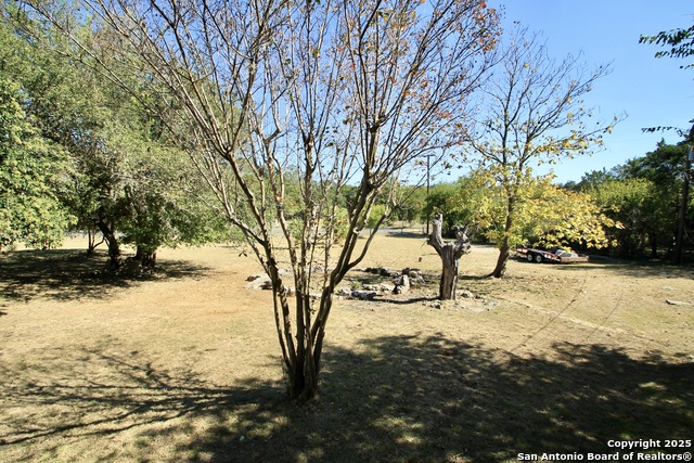 Image 19 of 20 For 1102 Mendelin