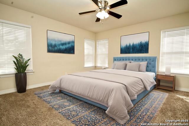 Image 9 of 20 For 1102 Mendelin