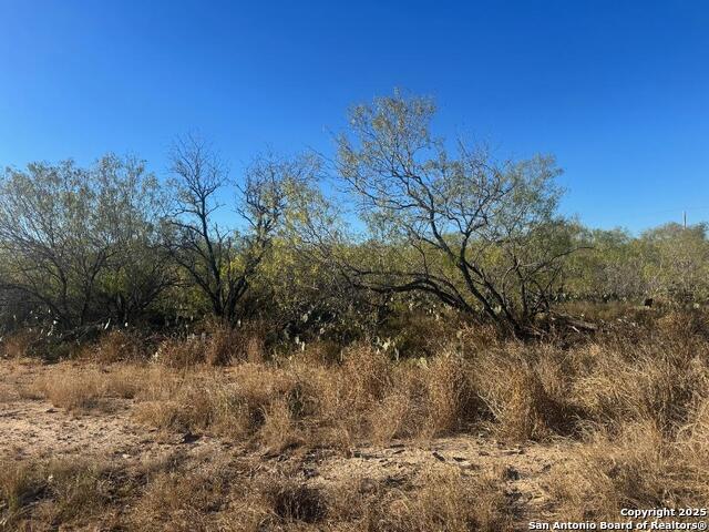 Details for Lots 2451-2452 Ave. J, Christine, TX 78012