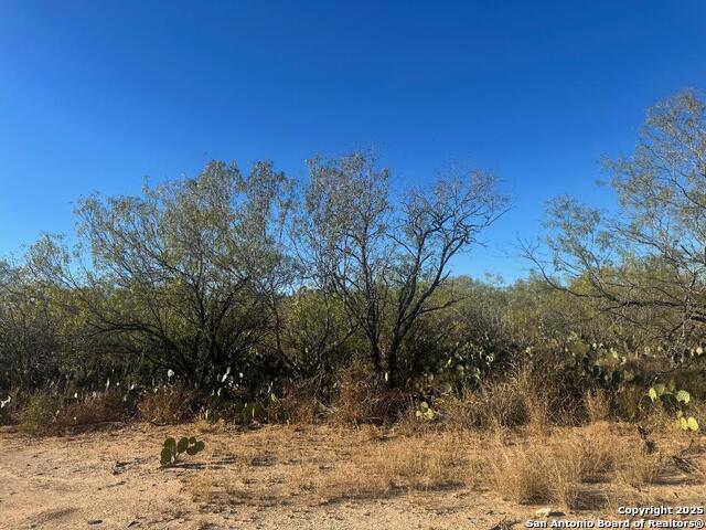 Image 2 of 4 For Lots 2451-2452 Ave. J