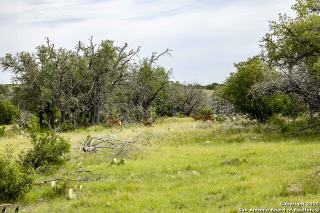 Image 10 of 35 For Lot 1 Hwy 377