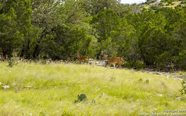 Image 11 of 35 For Lot 1 Hwy 377