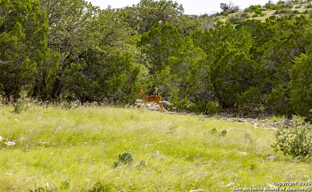 Image 12 of 35 For Lot 1 Hwy 377