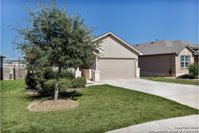 Image 2 of 26 For 29714 Spring Copper