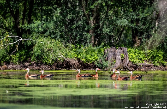 Image 10 of 11 For 000 County Line Rd # 120