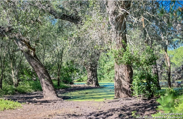 Image 3 of 11 For 000 County Line Rd # 120