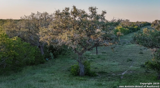 Image 4 of 11 For 000 County Line Rd # 120