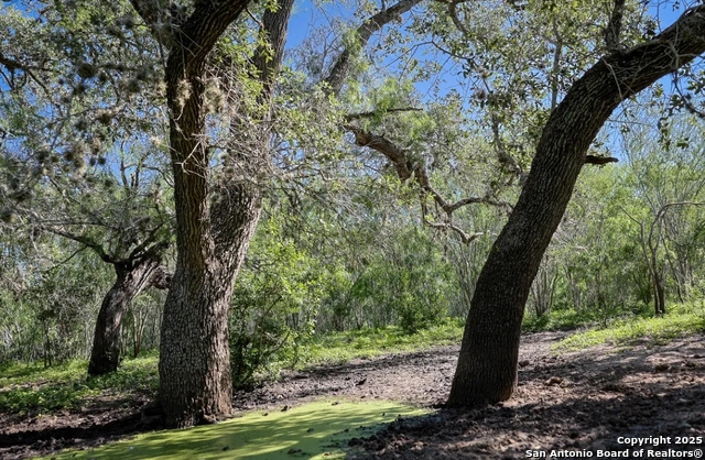 Image 8 of 11 For 000 County Line Rd # 120