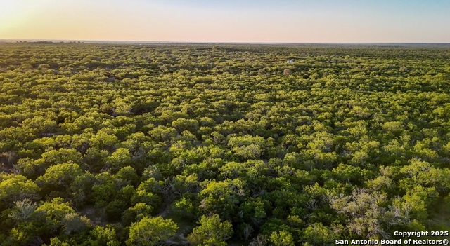 Details for 000 County Line Rd # 120, Beeville, TX 78102