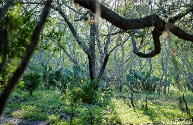 Image 2 of 9 For 000 County Line Rd # 120