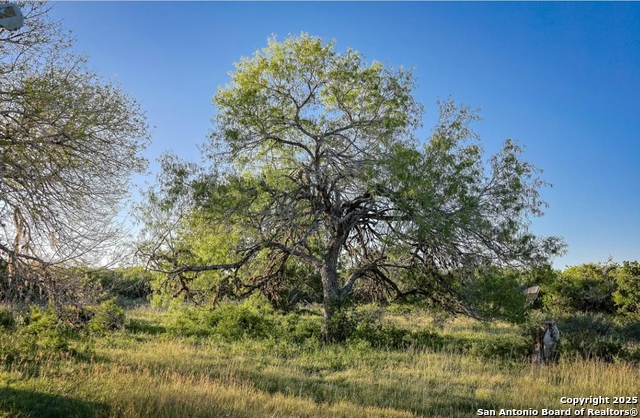Image 4 of 9 For 000 County Line Rd # 120