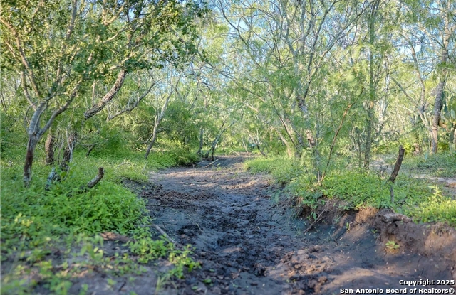 Image 5 of 9 For 000 County Line Rd # 120