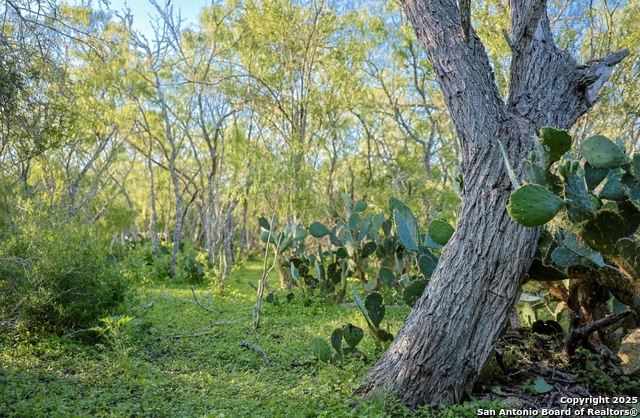 Image 6 of 9 For 000 County Line Rd # 120