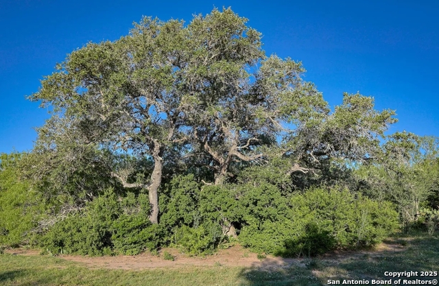 Image 7 of 9 For 000 County Line Rd # 120