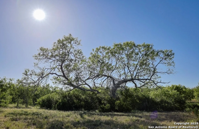 Image 8 of 9 For 000 County Line Rd # 120