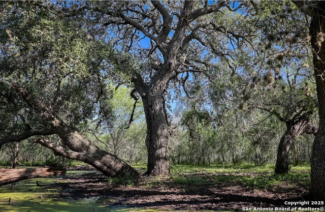 Image 9 of 9 For 000 County Line Rd # 120