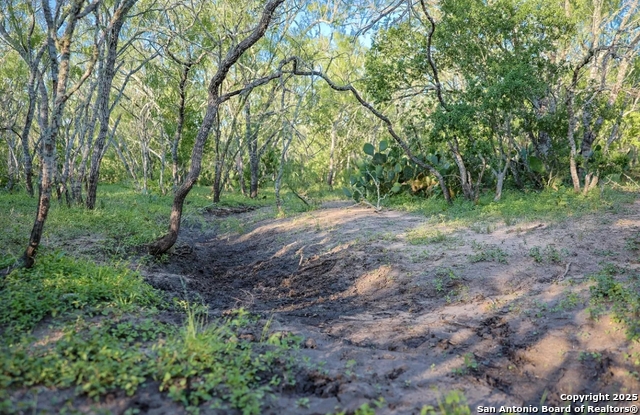 Details for 000 County Line Rd # 120, Beeville, TX 78102