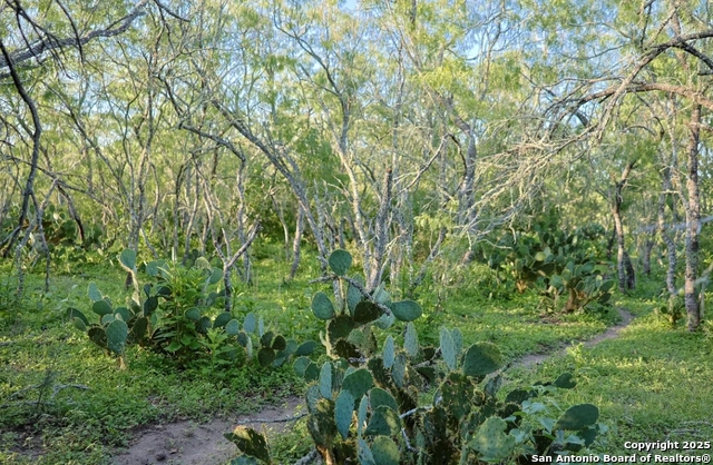 Image 2 of 6 For 000 County Line Rd # 120