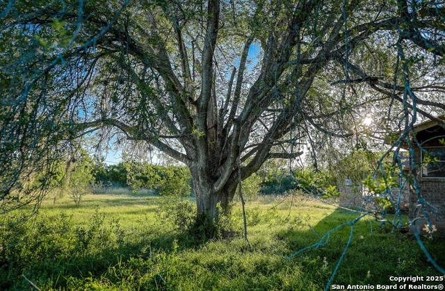 Image 3 of 12 For 000 County Line Rd # 120