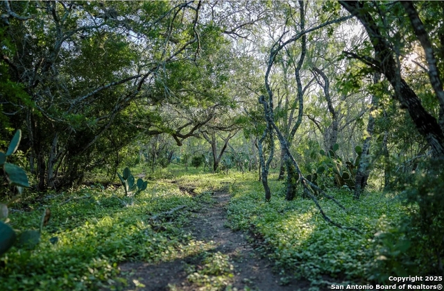 Image 6 of 12 For 000 County Line Rd # 120