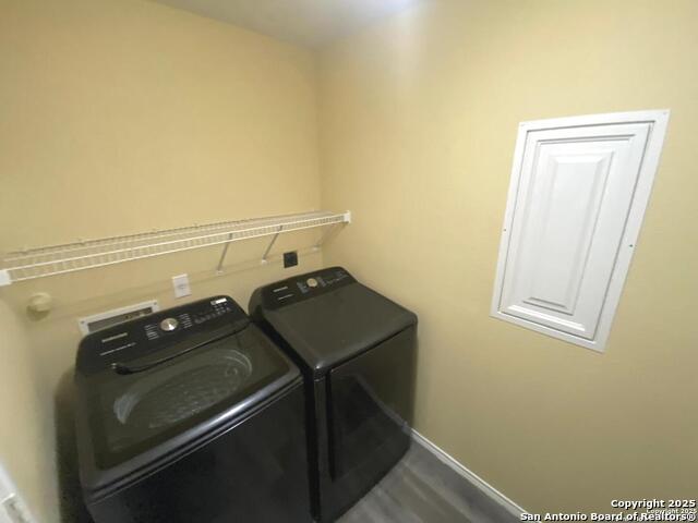 Image 14 of 31 For 302 Coriander