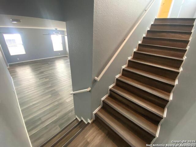 Image 17 of 31 For 302 Coriander