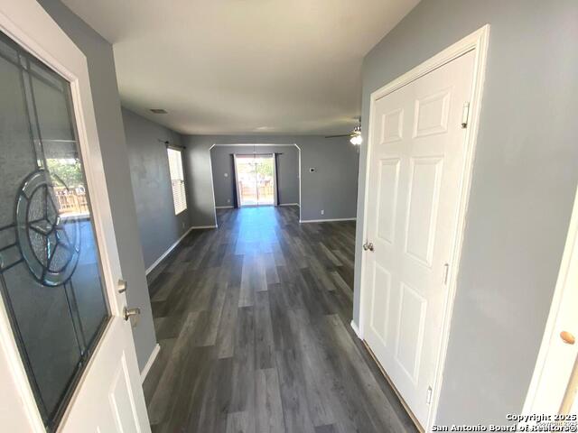 Image 4 of 31 For 302 Coriander