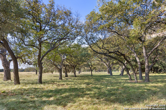 Listing photo id 3 for 617 Ranch Road 2631