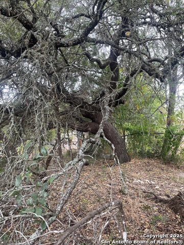 Details for 749 & 743 Canyon Circle, Canyon Lake, TX 78133