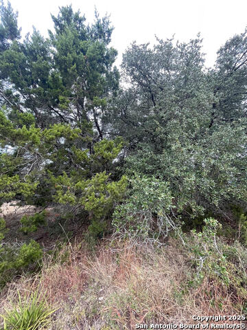 Listing photo id 4 for 749 & 743 Canyon Circle