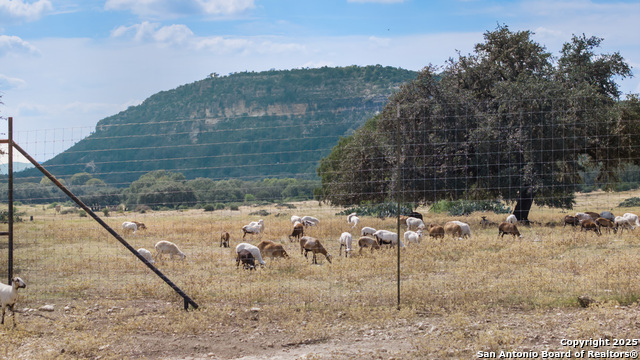 Listing photo id 38 for 1141 Ranch To Market Rd 2631