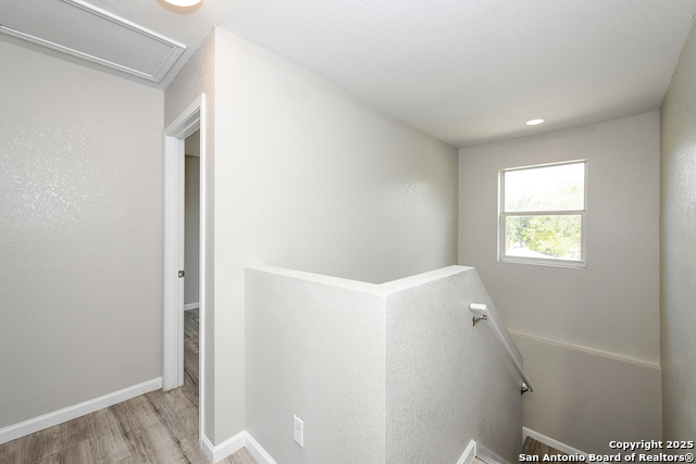 Image 15 of 29 For 3535 Honey