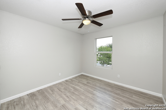 Image 17 of 29 For 3535 Honey