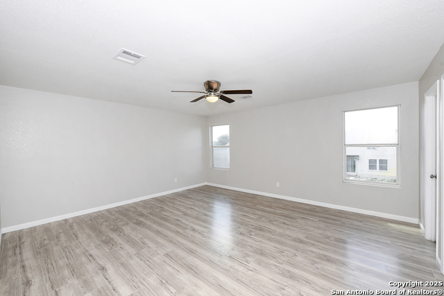 Image 19 of 29 For 3535 Honey