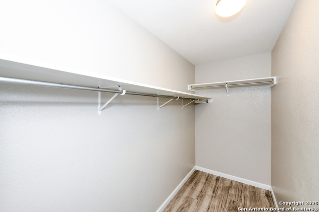 Image 21 of 29 For 3535 Honey