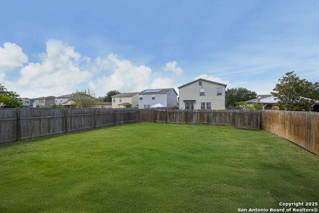 Image 26 of 29 For 3535 Honey